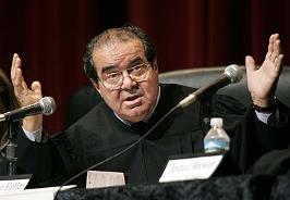 ninoscalia