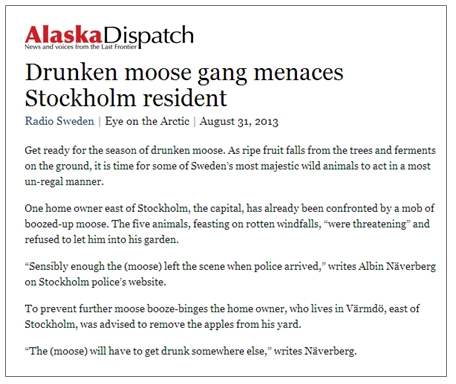 DrunkMoose